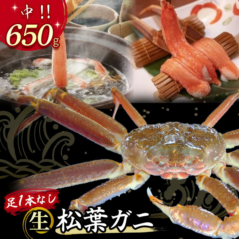 【ふるさと納税】今だけ限定価格!【11月より値上げ】【魚倉】足1本なし 生 松葉ガニ (中650g) 訳あり ズワイガニ 松葉蟹 欠け カニ かに かにしゃぶ ...