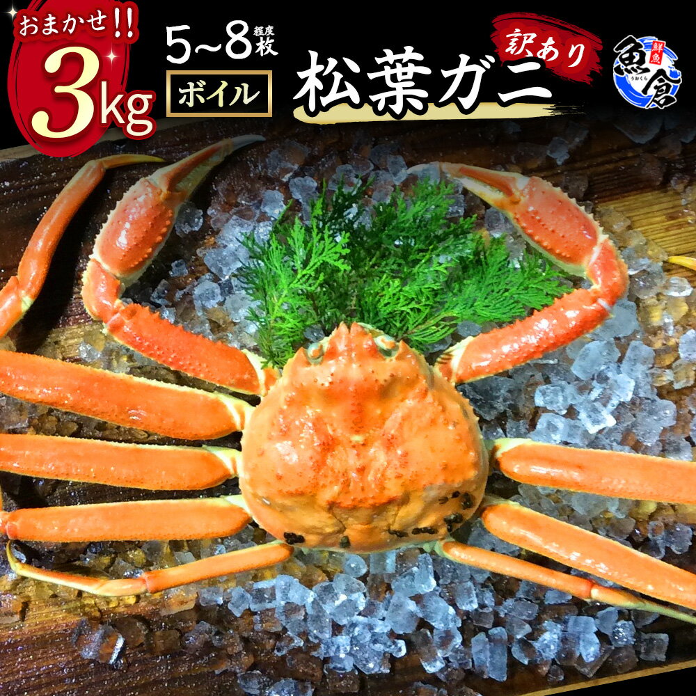 【ふるさと納税】今だけ限定価格!【11月より値上げ】【魚倉】松葉がに ボイル おまかせセット3kg 訳あり 松葉ガニ カニ ズワイガニ カニ爪 ボイル 冷蔵 わ...