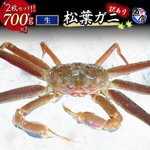 【ふるさと納税】【魚倉】訳あり生松葉ガニ2枚セット 700g以上 松葉ガニ カニ ズワイガニ カニ爪 訳あり わけあり 冷蔵 かにしゃぶ カニ刺身 ずわいがに 鮮度抜群 国産 高級 足欠け 足かけ 鳥取県 倉吉市