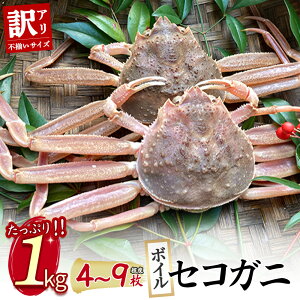 【ふるさと納税】【魚倉】(ボイル)不揃いサイズ 訳ありたっぷり 1kgセット セコガニ (親ガニ、せいこがに) ボイル カニ ズワイガニ 訳あり 冷蔵 カニ爪 わけあり かにしゃぶ カニ刺身 鮮度抜群 国産 高級 足欠け 足かけ 鳥取県 倉吉市