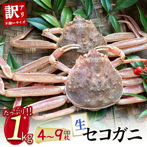 【ふるさと納税】【魚倉】(生)不揃いサイズ 訳ありたっぷり1kgセット セコガニ(親ガニ、せいこがに) カニ ズワイガニ カニ爪 訳あり わけあり 冷蔵 かにしゃぶ カニ刺身 ずわいがに 鮮度抜群 国産 高級 足欠け 足かけ 鳥取県 倉吉市