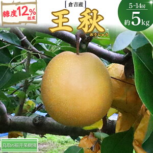 【ふるさと納税】 先行予約 王秋 5kg【倉吉産】 福井果樹園 梨 なし ナシ おうしゅう 王秋 ブランド梨 鳥取 5kg 果物 フルーツ 和梨 先行予約 数量限定 詰め合わせ 人気 甘い 鳥取県 倉吉市