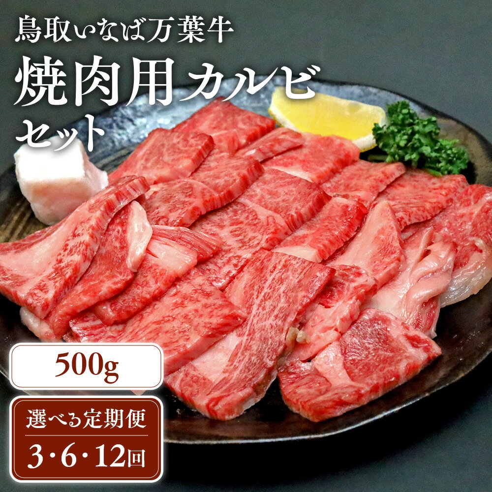 【ふるさと納税】【定期便】鳥取いなば万葉牛 焼肉用カルビセット ( 500g × 3回 ) ~ ( 500g × 12回 ) 鳥取和牛 国産 牛肉 和牛 黒毛和牛 カルビ セット 焼肉 焼き肉 肉 ブランド牛 冷凍 定期便 鳥取県 倉吉市