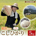 【ふるさと納税】【期間・在庫限定】原田さんのこしひかり 5kg 数量限定 精米 お米 米 こめ コメ 白米 こしひかり コシヒカリ ブランド米 ごはん ゴハン ...