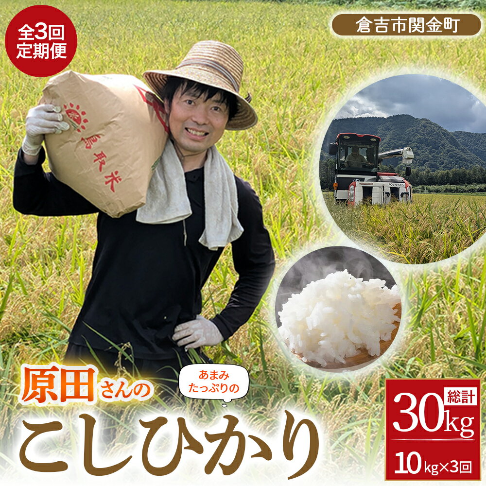 【ふるさと納税】 【 定期便 】原田さんのこしひかり ( 10kg × 3回 ) 数量限定 精米 お米 米 こめ コメ 白米 こしひかり コシヒカリ ブランド米 ごはん ゴハン ご飯 鳥取県 倉吉市