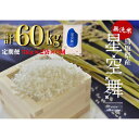 人気ランキング第13位「鳥取県倉吉市」口コミ数「0件」評価「0」＜ 無洗米 ＞ 鳥取県産 星空舞 6回 定期便 （ 10kg × 6回 ） 令和5年産 新米 お米 米 こめ コメ 無洗米 ほしぞらまい 星空舞 定期便