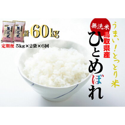 ＜無洗米＞鳥取県産ひとめぼれ6回定期便（10kg×6回）令和5年産 新米 お米 米 こめ コメ 無洗米 ひとめぼれ 定期便