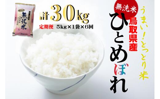 [ 無洗米 ] 鳥取県産 ひとめぼれ 6回 定期便 ( 5kg ×6回) 合計30kg 令和5年産 新米 お米 米 こめ コメ 無洗米 ひとめぼれ 定期便 ご飯 ごはん 鳥取県 倉吉市