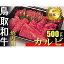 【ふるさと納税】鳥取和牛 焼肉用 カルビ 500g 国産 牛肉 焼肉 焼き肉 和牛 上カルビ 黒毛和牛 ブランド牛 鳥取県 倉吉市