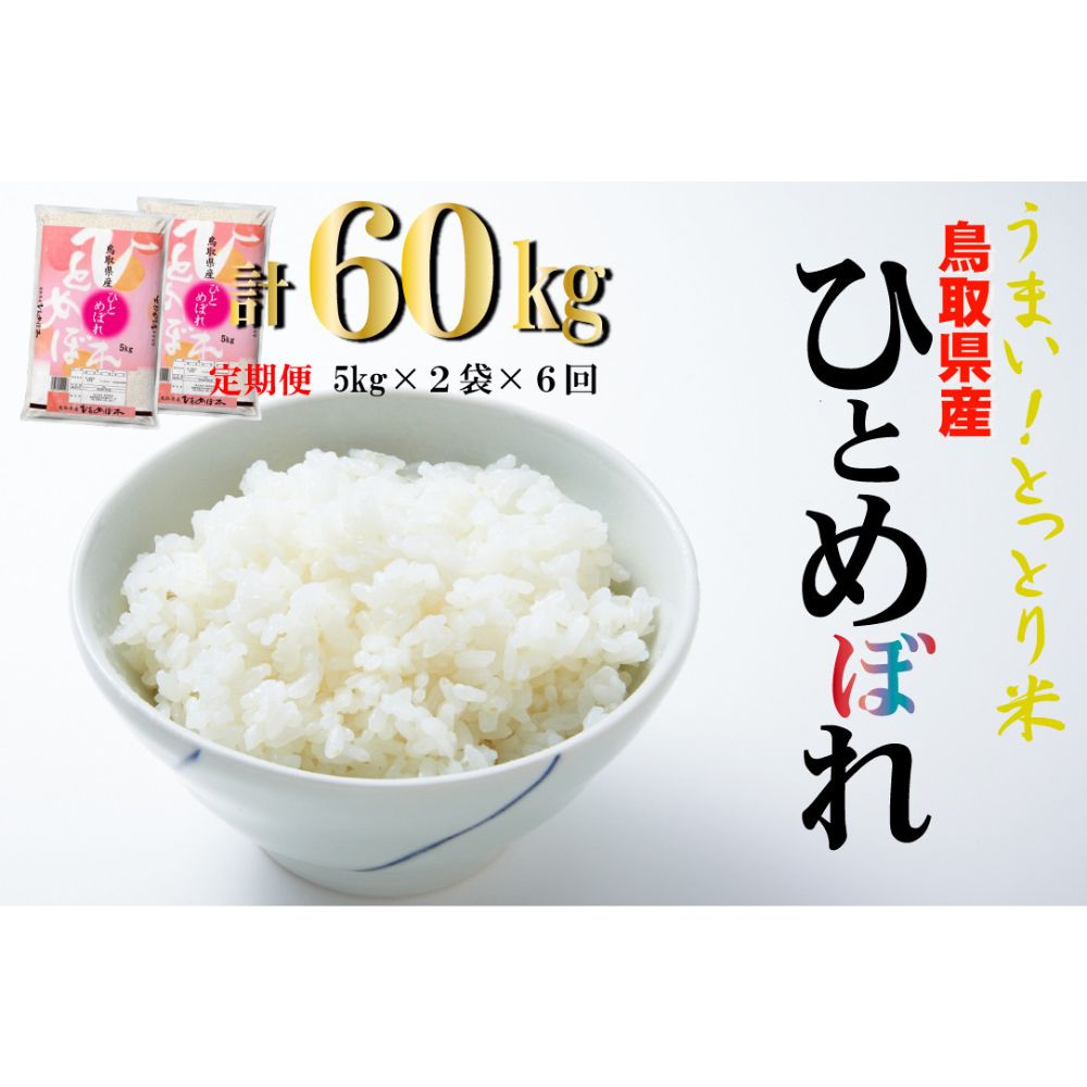 【ふるさと納税】鳥取県産ひとめぼれ6回定期便（10kg×6回）令和5年産 新米 お米...