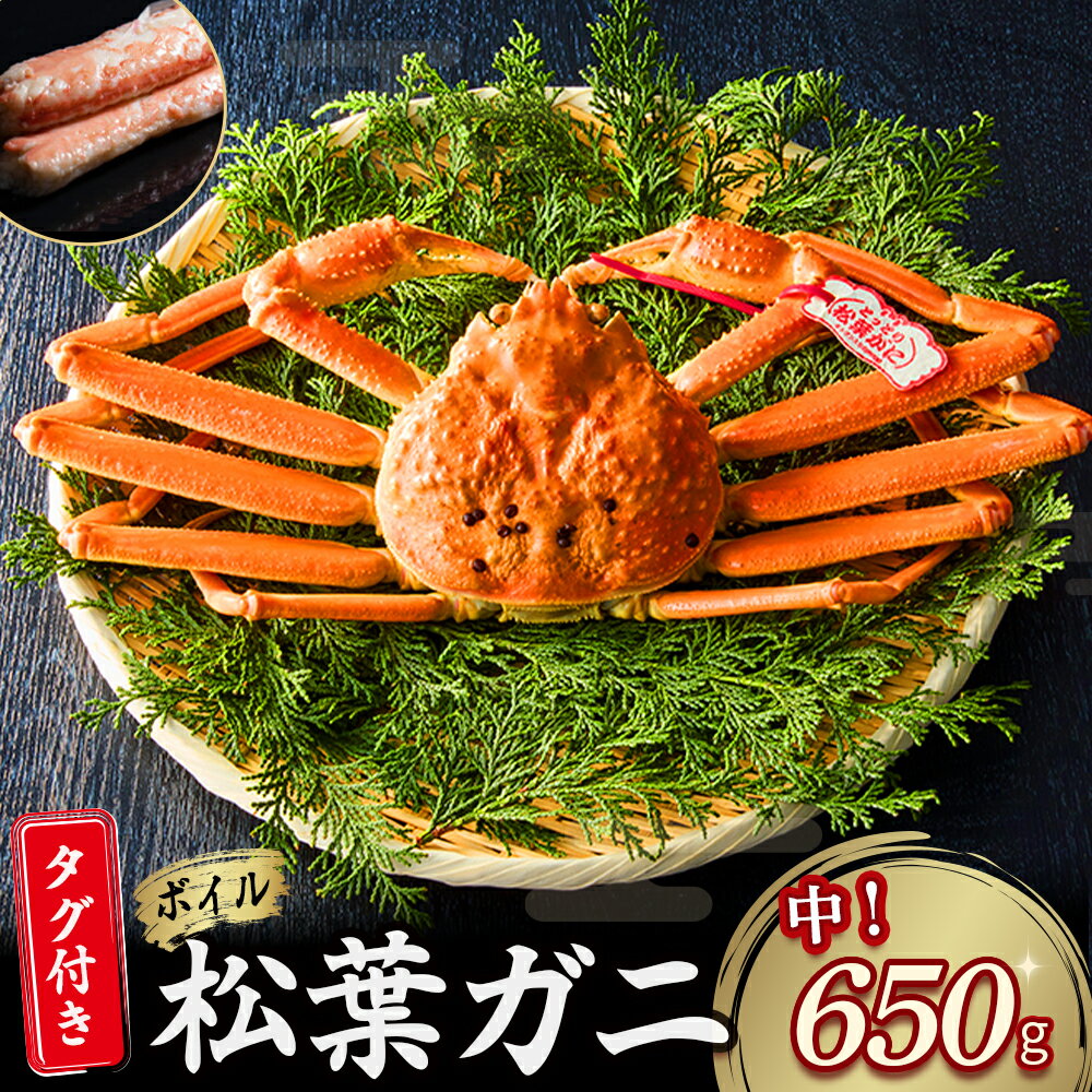 【ふるさと納税】 【魚倉】タグ 付き ボイル 松葉ガニ（中 650g 以上） ズワイガニ 松葉蟹 カ ...