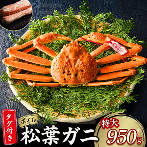 【ふるさと納税】 【魚倉】タグ 付き ボイル 松葉ガニ (特大 950g 以上) ズワイガニ 松葉蟹 カニ かに かにしゃぶ 【11月から3月発送予定】