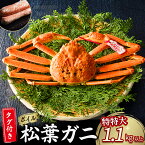 【ふるさと納税】今だけ限定価格!【11月より値上げ】 【魚倉】 タグ付き ボイル 松葉ガニ (特特大 1,100g以上) ズワイガニ 松葉蟹 カニ かに かにしゃぶ 限定価格 限定寄付額 値上対象 【11月から3月発送予定】