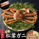 【ふるさと納税】 【魚倉】 タグ 付き 生 松葉ガニ (大800g) ズワイガニ 松葉蟹 カニ かに かにしゃぶ 【11月から3月発送予定】