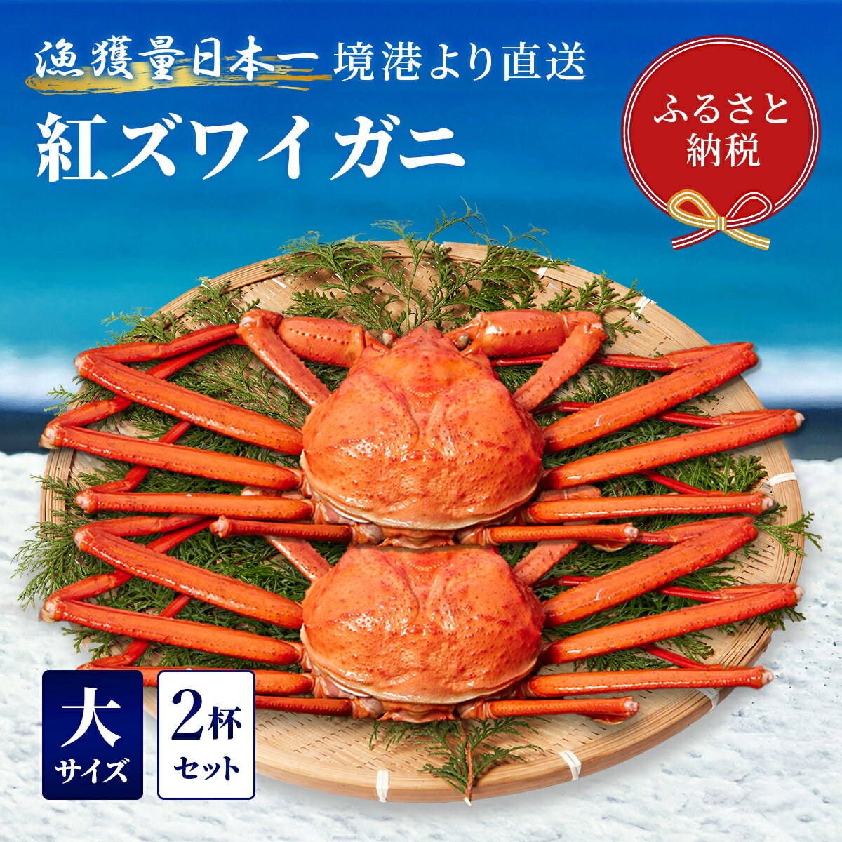 [蟹セレブ]ズワイガニ(紅ズワイガニ)大2杯セット(500〜600g×2) 冷蔵 カニ ボイル 紅ズワイガニ 新鮮 ズワイガニ ずわいがに 期間限定 国産 鳥取県 倉吉市