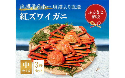 [蟹セレブ]ズワイガニ(紅ズワイガニ)中3杯セット(400〜500g×3) 冷蔵 カニ ボイル 紅ズワイガニ 新鮮 ズワイガニ ずわいがに 期間限定 国産 鳥取県 倉吉市
