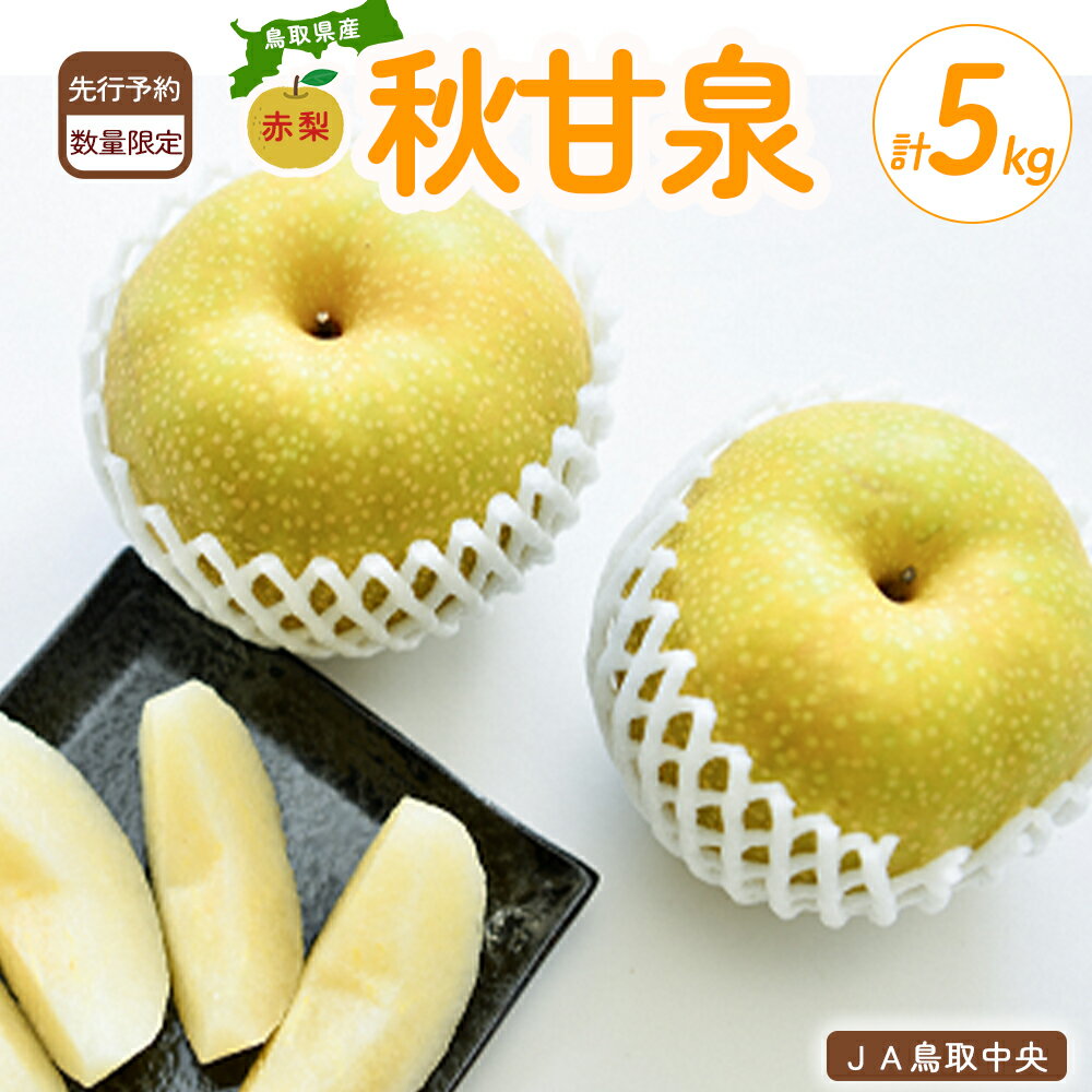 【ふるさと納税】 秋甘泉 (5kg)【倉吉産】 鳥取 梨 なし ナシ ブランド梨 あきかんせん 秋甘泉 果物 フルーツ 和梨 先行予約 数量限定 詰め合わせ 秋甘泉 甘い