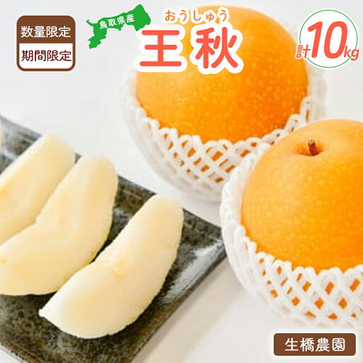 【ふるさと納税】 王秋 10kg(生橋農園) 鳥取県産 梨 鳥取 果物 フルーツ 王秋 和梨 先行予約 数量限定 詰め合わせ 今が旬 甘い 人気 【ふるさと納税】 王秋 10kg(生橋農園) 鳥取県産 梨 鳥取 果物 フルーツ 王秋 和梨 先行予約 数量限定 詰め合わせ 今が旬 甘い 人気