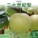 【ふるさと納税】 二十世紀梨 5kg(10~20玉) 倉吉産 福井果樹園 二十世紀梨 20世紀梨 梨 なし ナシ ブランド梨 果物 フルーツ 和梨 数量限定