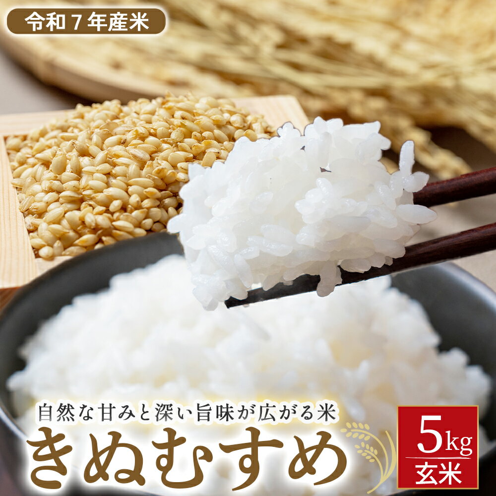 [令和7年産米]きぬむすめ 玄米 5kg( 数量限定 新米 お米 米 こめ コメ きぬむすめ 玄米 ご飯 ごはん 紙製米袋 )
