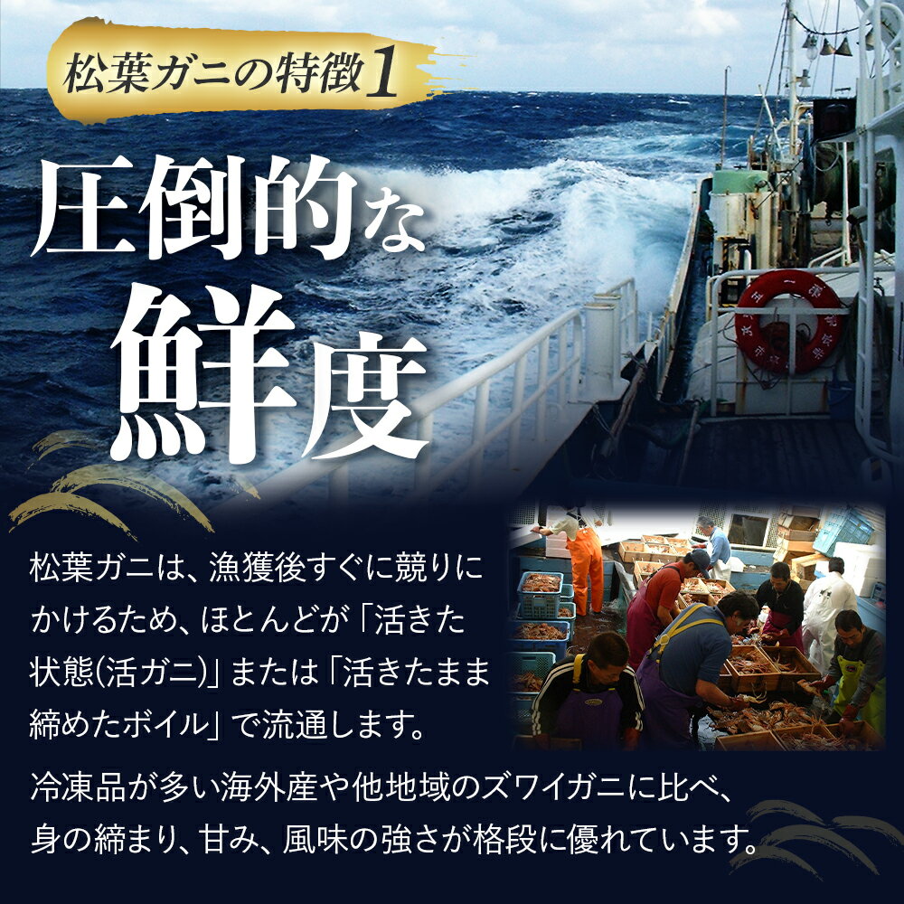 鳥取県倉吉市の画像3