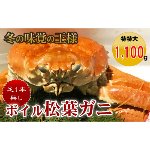 【ふるさと納税】 【先行予約】 【魚倉】足1本なし ボイル 松葉ガニ （特特大 1,100g 以上） 訳あり ズワイガニ 松葉蟹 欠け カニ かに 【2022年11月から2023年3月発送予定】 早期受付