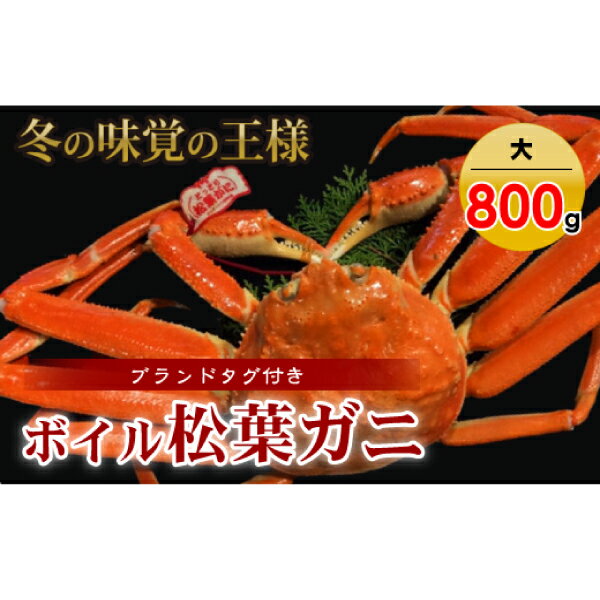 【ふるさと納税】【魚倉】タグ付き ボイル 松葉ガニ （大 800g）