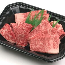 【ふるさと納税】特選!鳥取和牛霜降りカルビ・赤身焼肉セット