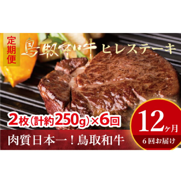 鳥取和牛 ヒレステーキ 6回 定期便 ひれステーキ ヒレ ステーキ 赤身 牛肉 2枚 奇数月