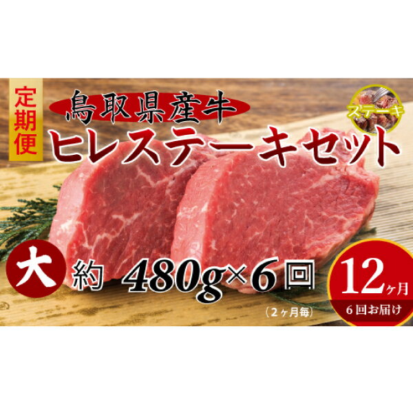 鳥取県産 牛 ヒレステーキ 6回 定期便 (大) ひれステーキ ヒレ ステーキ 赤身 牛肉