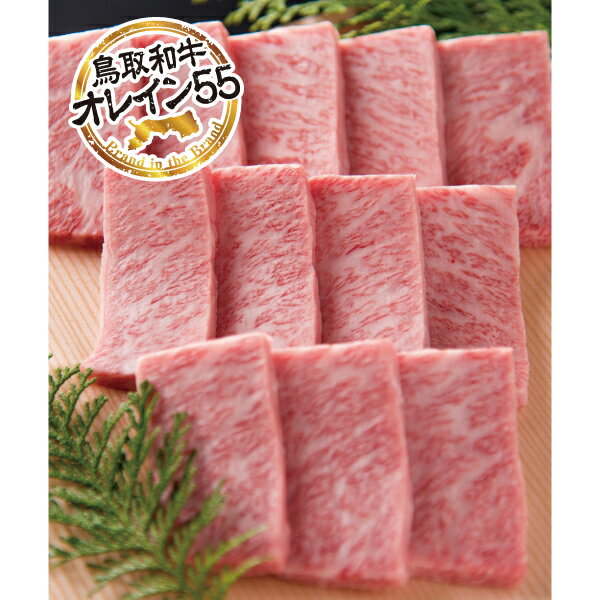 【ふるさと納税】鳥取和牛 最上級A5ランク オレイン55 極上カルビ 焼肉用 （大） 約500g 国産 牛肉 和牛 黒毛和牛 カルビ 焼肉 焼き肉
