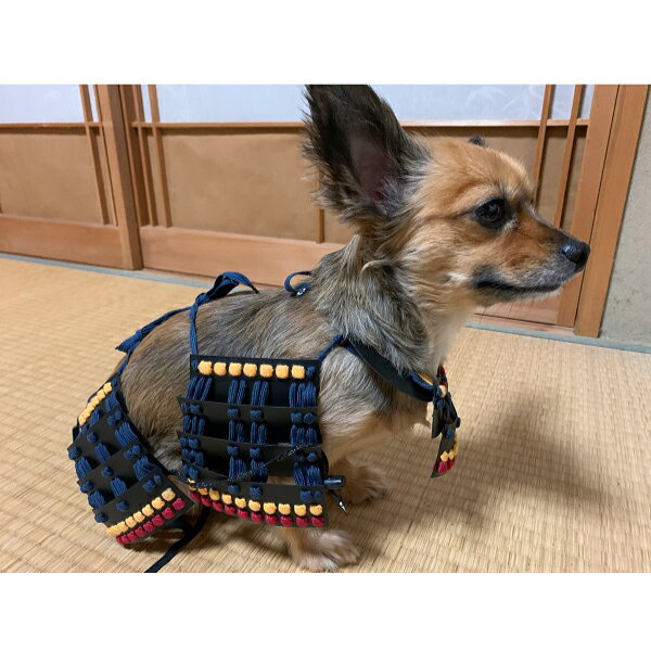 【ふるさと納税】ワンワン 甲冑 犬用 コスチューム