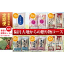 お米 と お野菜 の セット 6回 定期便 偶数月 隔月 鳥取県産 米 無洗米 こしひかり コシヒカリ きぬむすめ キヌムスメ ひとめぼれ ヒトメボレ 星空舞 ほしぞらまい 野菜 新鮮 旬 詰め合わせ