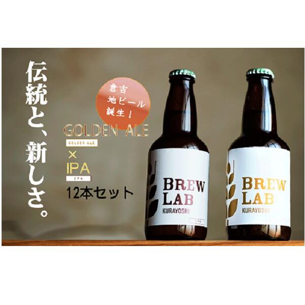 【ふるさと納税】クラフトビール ゴールデンエール ＆ IPA（12本入） BREW　LAB　KURAYOSHI 飲み比べ セット ビール クラフトビール 酒 母の日 父の日 敬老の日