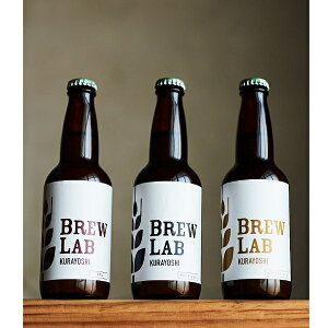 【ふるさと納税】BREW　LAB クラフトビール 3種 詰め合わせ （18本） ipa ペールエール...