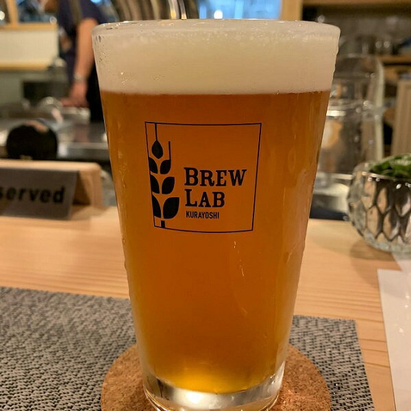 【ふるさと納税】クラフトビール IPA（330ml×9本）[BREW LAB KURAYOSHI] 贈答品 ギフト お酒 ビール 地ビール クラフトビール