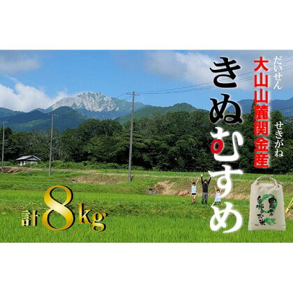 大山 山麓 関金 産 きぬむすめ （8kg）　5kg×1袋、3kg×1袋 新米 キヌムスメ 米 白米 鳥取県産