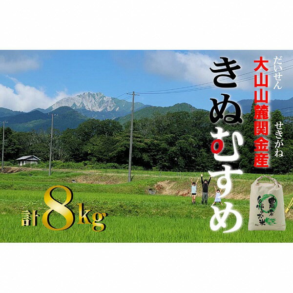 【ふるさと納税】大山 山麓 関金 産 きぬむすめ （8kg）　5kg×1袋、3kg×1袋 キヌムスメ 米 鳥取県産