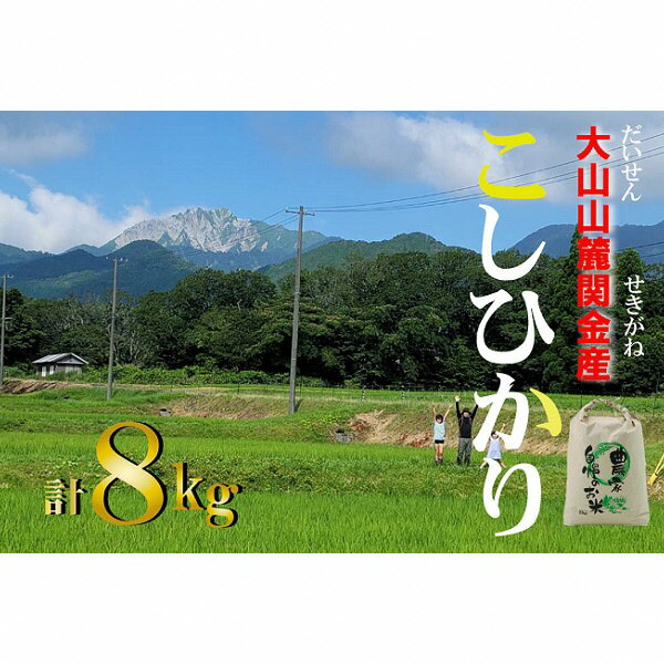 【ふるさと納税】大山 山麓 関金 産 コシヒカリ （8kg）　5kg×1袋、3kg×1袋 こしひかり 米 鳥取県産