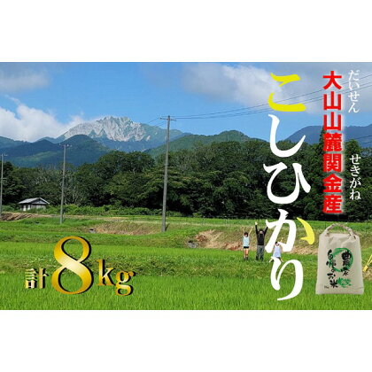 大山 山麓 関金 産 コシヒカリ （8kg）　5kg×1袋、3kg×1袋 こしひかり 米 鳥取県産