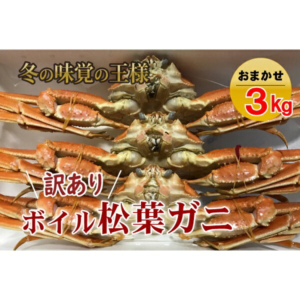 【ふるさと納税】【先行予約】【魚倉】松葉がに ボイル おまかせ セット 3kg 訳アリ ズワイガニ 松葉蟹 カニ かに 【2022年11月から2023年3月発送予定】