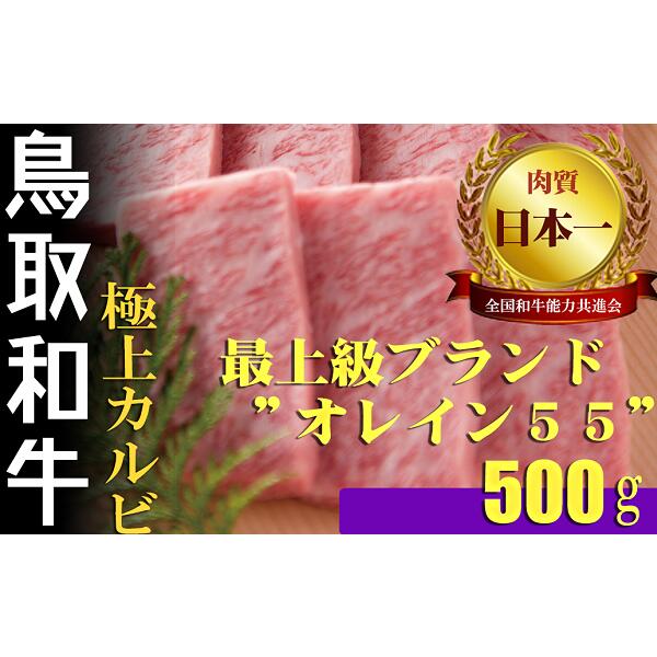 鳥取和牛 最上級A5ランク オレイン55 極上カルビ 焼肉用 （大） 約500g 国産 牛肉 和牛 黒毛和牛 カルビ 焼肉 焼き肉