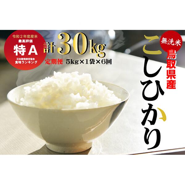 【ふるさと納税】＜無洗米＞コシヒカリ6回 定期便（5kg×6回） こしひかり