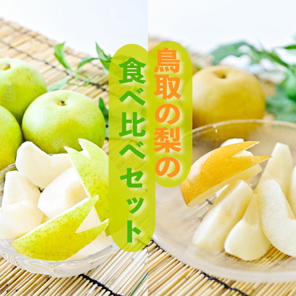 [先行予約・数量限定]ハウス新甘泉とハウス二十世紀梨の食べ比べセット 鳥取県産 3kg 令和6年産 (生橋農園) 梨 鳥取 梨 3kg 果物 フルーツ 和梨 先行予約 数量限定 詰め合わせ 二十世紀梨 新甘泉 セット 食べ比べ 20世紀梨
