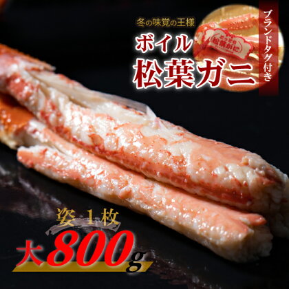 【先行予約】 【魚倉】タグ付き ボイル 松葉ガニ （大 800g 以上） ズワイガニ 松葉蟹 冷蔵 カニ かに かにしゃぶ 【11月から3月発送予定】先行予約 早期受付 松葉かに