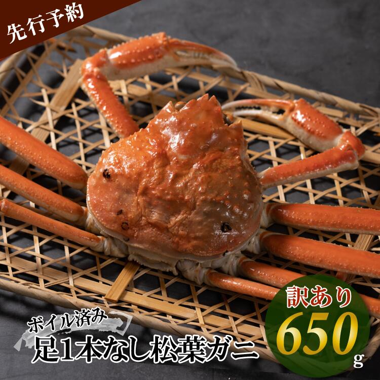 【先行予約】【魚倉】足1本なし ボイル 松葉ガニ（中 650g 以上）訳あり ズワイガニ 松葉蟹 欠け カニ かに かにしゃぶ 規格外 不揃い キズ 【11月から3月発送予定】 先行予約 早期受付