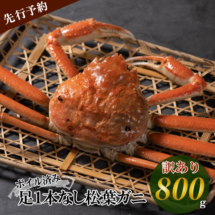 【ふるさと納税】 【先行予約】【魚倉】足1本なし ボイル 松葉ガニ （大 800g 以上） 訳あり ズワイガ...