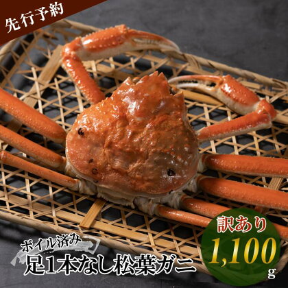 【先行予約】【魚倉】足1本なし ボイル 松葉ガニ （特特大 1,100g 以上） 訳あり ズワイガニ 松葉蟹 欠け カニ かに かにしゃぶ 【11月から3月発送予定】 早期受付 先行予約