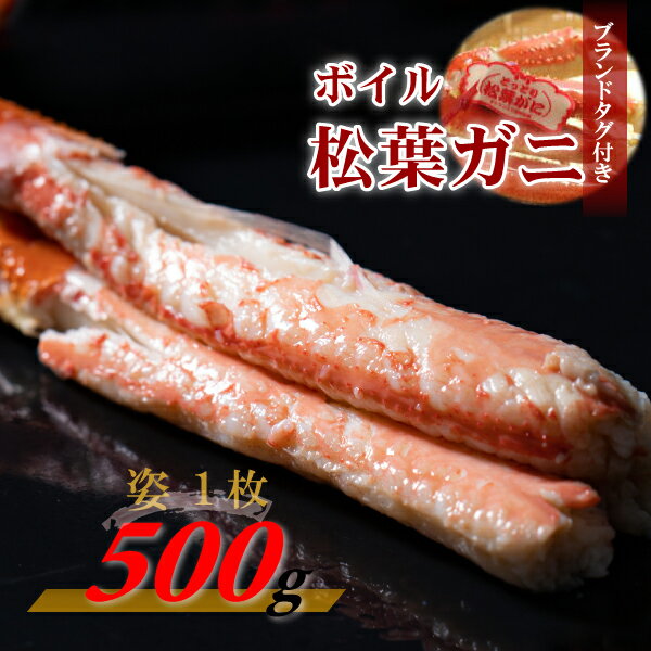 【ふるさと納税】【先行予約】【魚倉】タグ 付き ボイル 松葉ガニ（ 500g 以上） ズワイガニ 松葉蟹 カニ かに かにしゃぶ 【11月から3月発送予定】 早期受付 先行予約