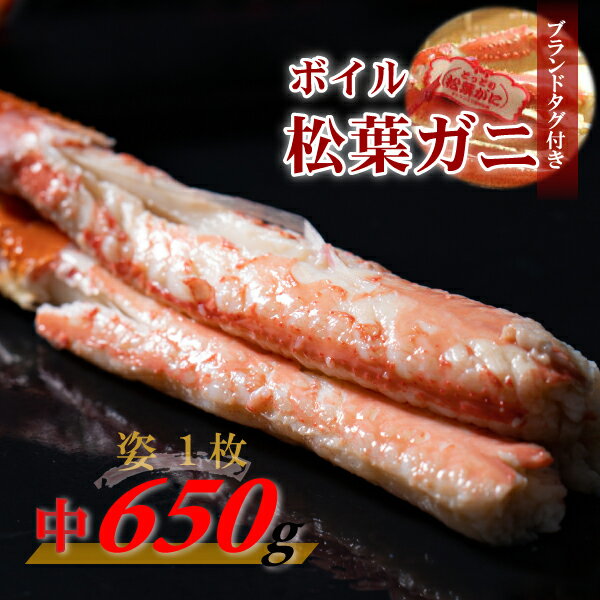 【ふるさと納税】 【先行予約】【魚倉】タグ 付き ボイル 松葉ガニ（中 650g 以上） ズワイガニ 松葉...